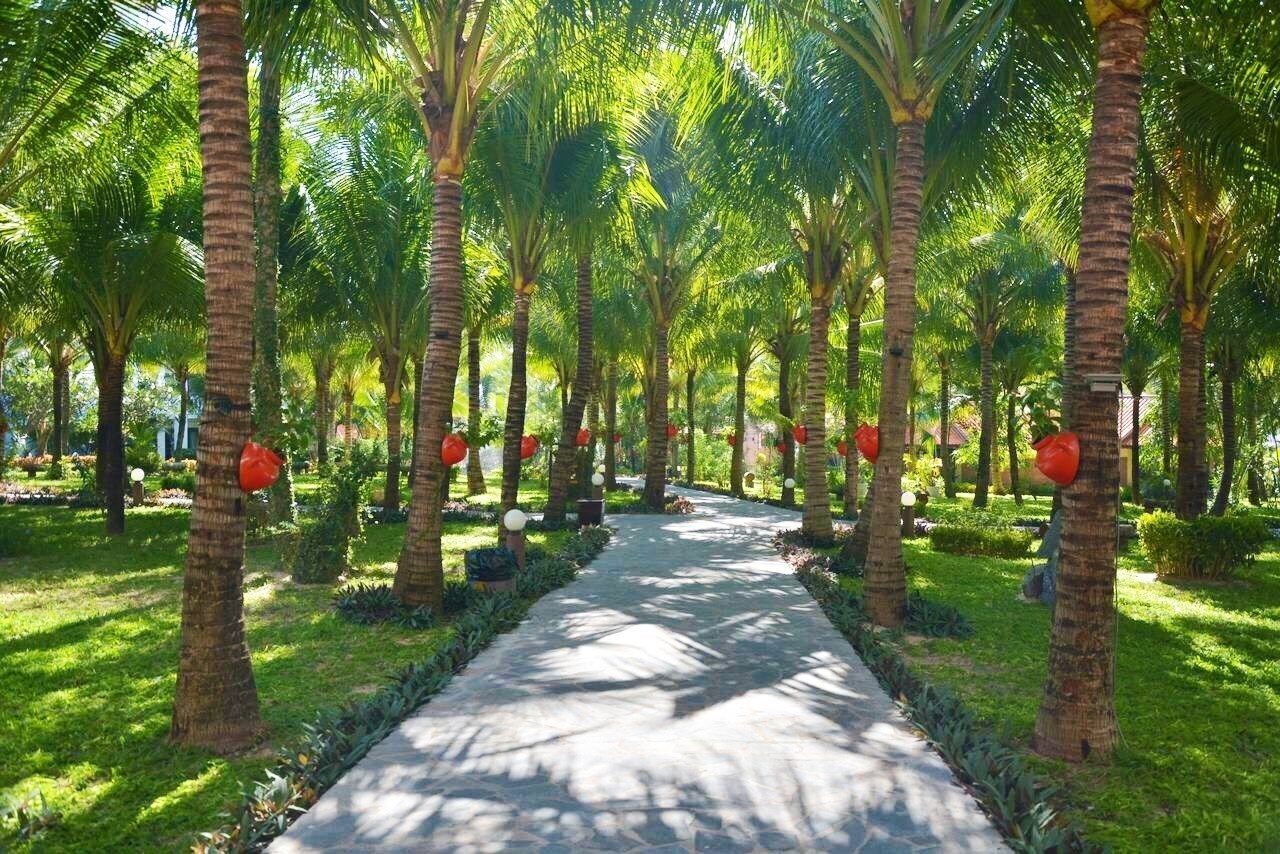 Территория Dessole Beach Resort Mui Ne (ex. Dessole Sea Lion Beach Resort Ke Ga) 4*